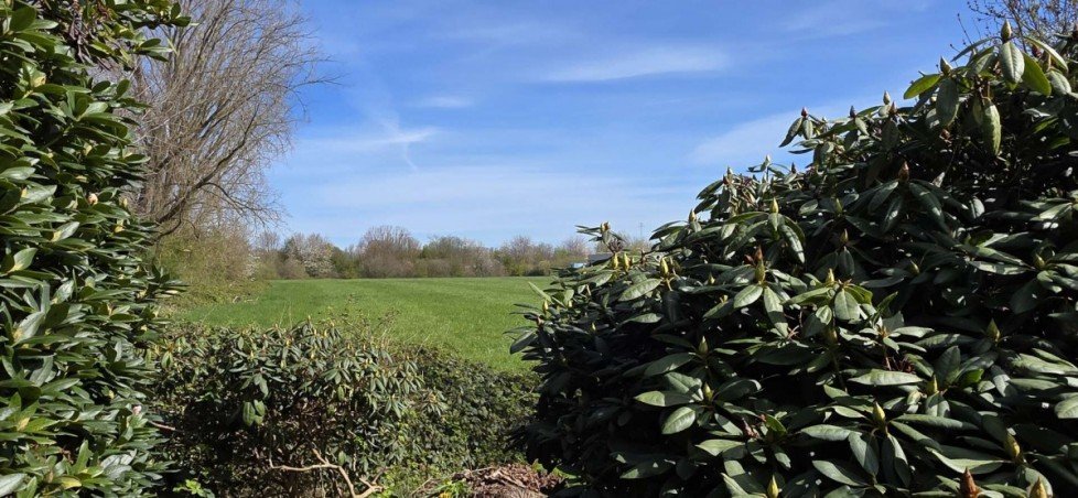 Garten Einfamilienhaus Weener