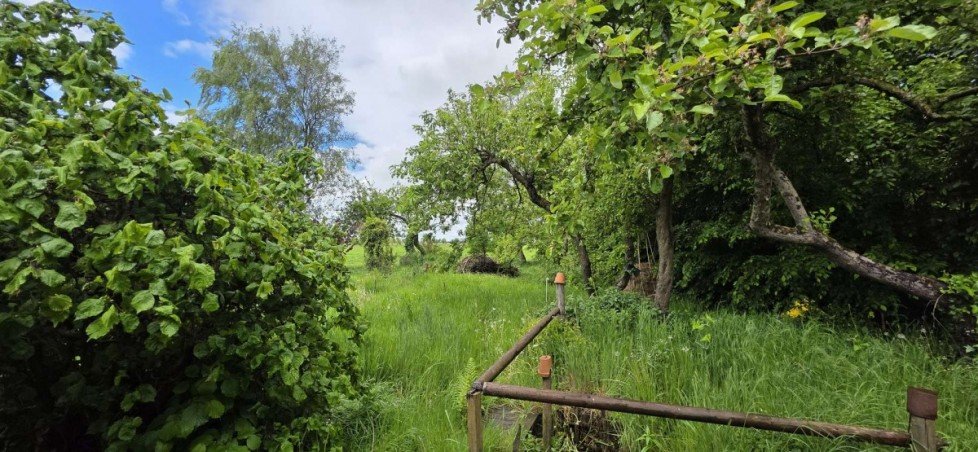Garten Einfamilienhaus Weener