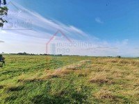 Bild (2f1c90d0cdc540e18f424978f5b99702): Bautr�ger-Potenzial: Grundst�ck mit Mehrfach-Bebauungsoption zum Verkauf