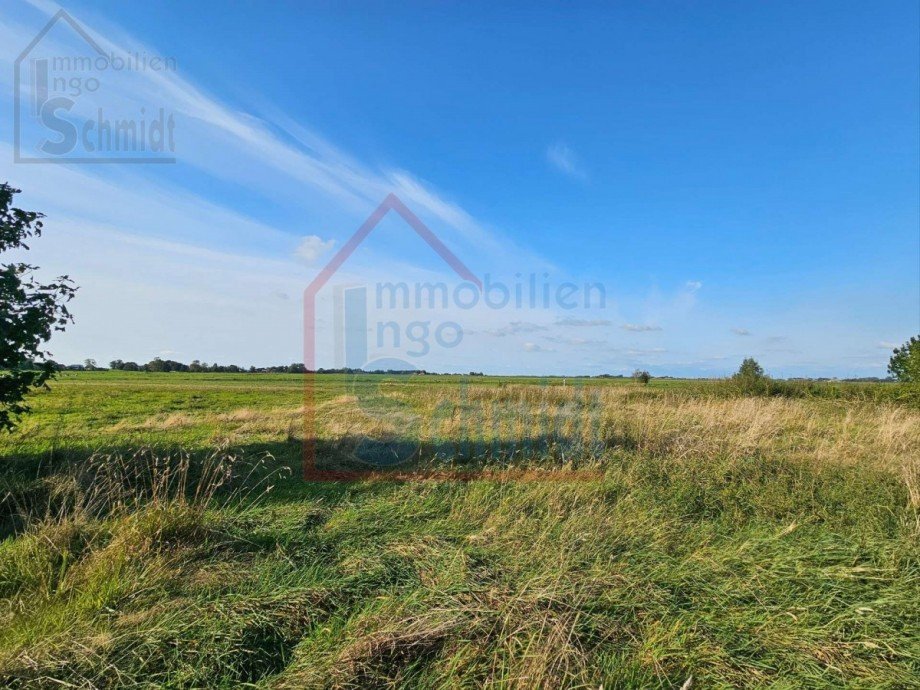 20240917_170534 Grundst�ck Bunde