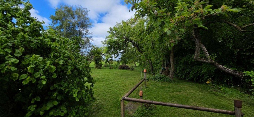 Garten Einfamilienhaus Weener