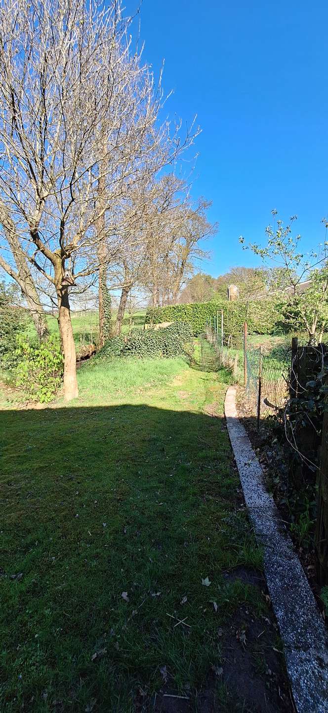 Garten Einfamilienhaus Bunde