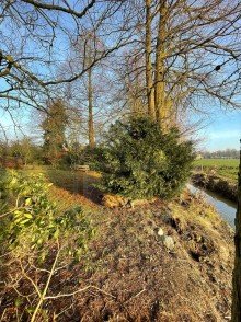 Garten Freistehendes EFH mit gro�em Garten und Weitblick in Hafenn�he