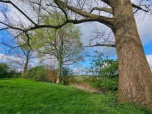 Garten Gulfhof in Einzellage!