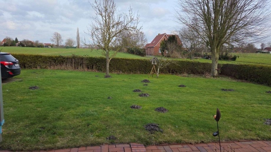 Garten Wohnung 