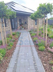Stra�enansicht Hochwertiger Bungalow in idealer Lage von Weener!
