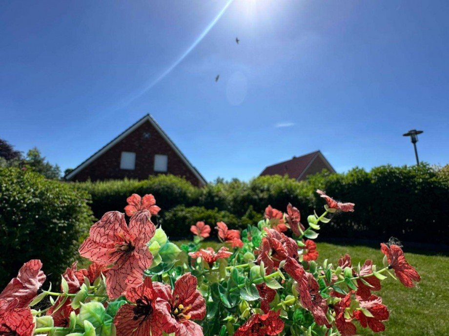 Garten Einfamilienhaus Weener