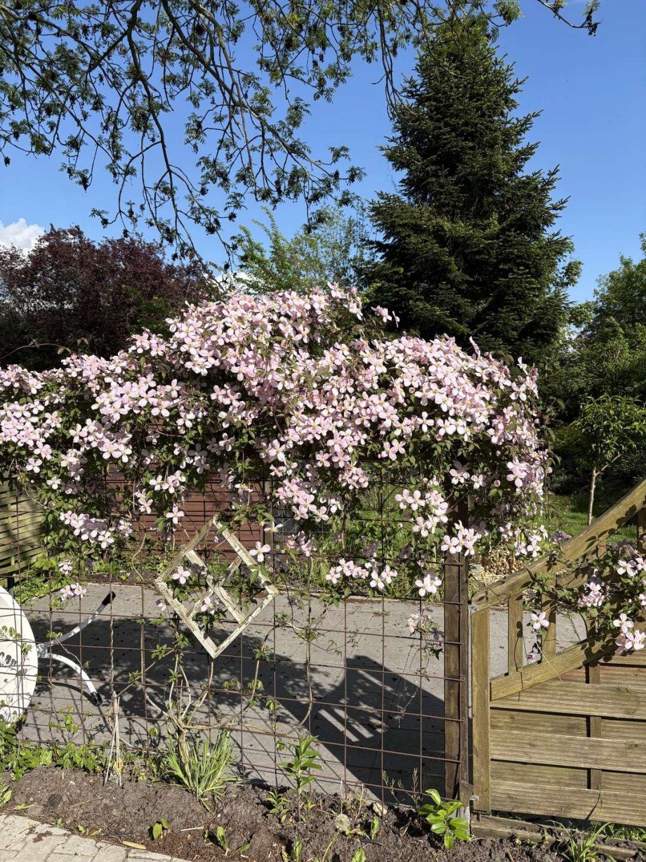 Garten Erdgeschosswohnung Weener