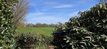 Garten R�ckw�rtig unverbautes EFH in Hafenn�he!